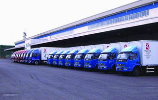 順德樂(lè)從至樟溪鎮(zhèn)貨運(yùn)物流一站式服務(wù) 配送、安裝、商檢、報(bào)關(guān)全流程解析